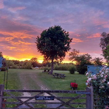 Hopgarden Glamping Luxury Shepherds Huts Wadhurst Eksteriør bilde
