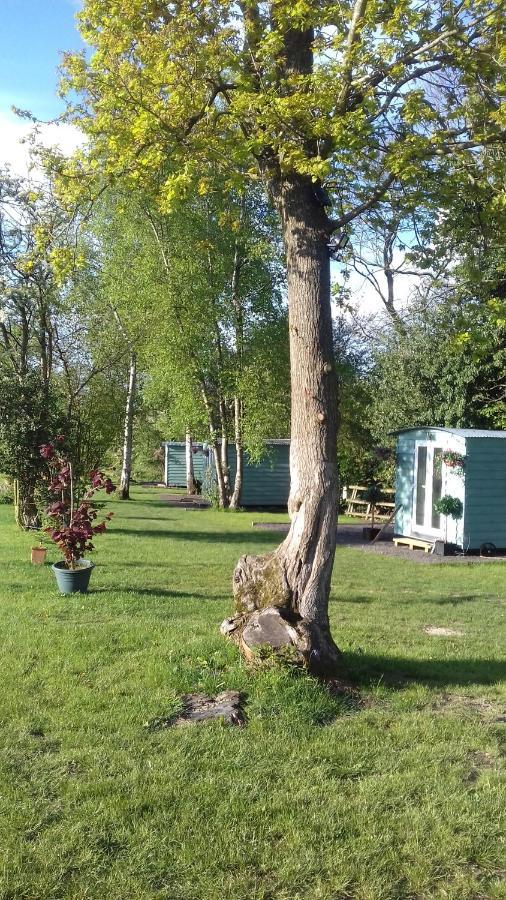 Hopgarden Glamping Luxury Shepherds Huts Wadhurst Eksteriør bilde