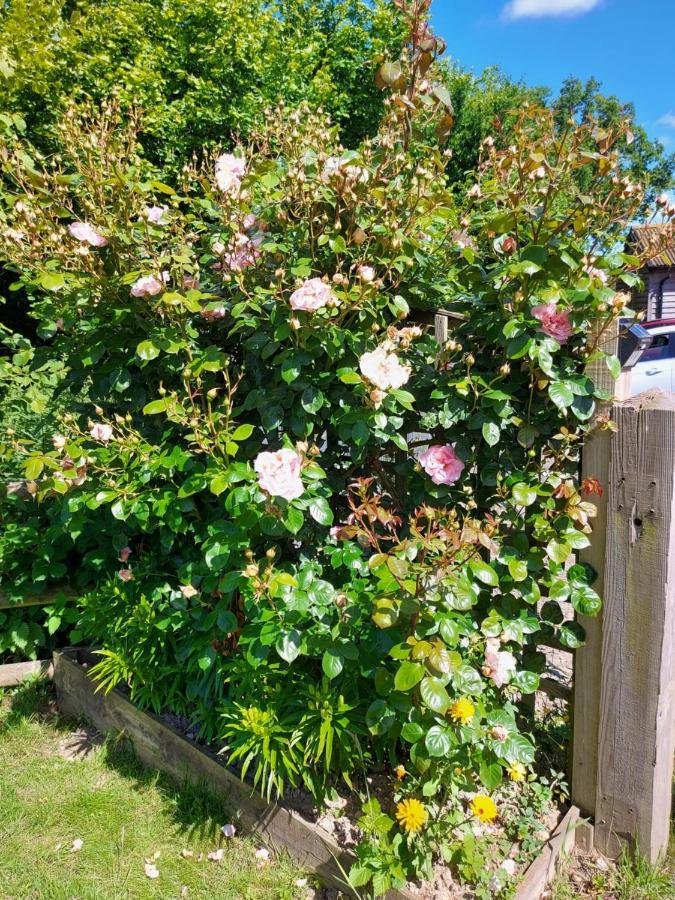 Hopgarden Glamping Luxury Shepherds Huts Wadhurst Eksteriør bilde