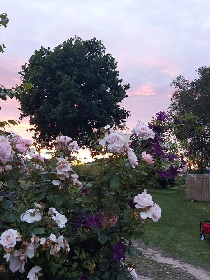 Hopgarden Glamping Luxury Shepherds Huts Wadhurst Eksteriør bilde