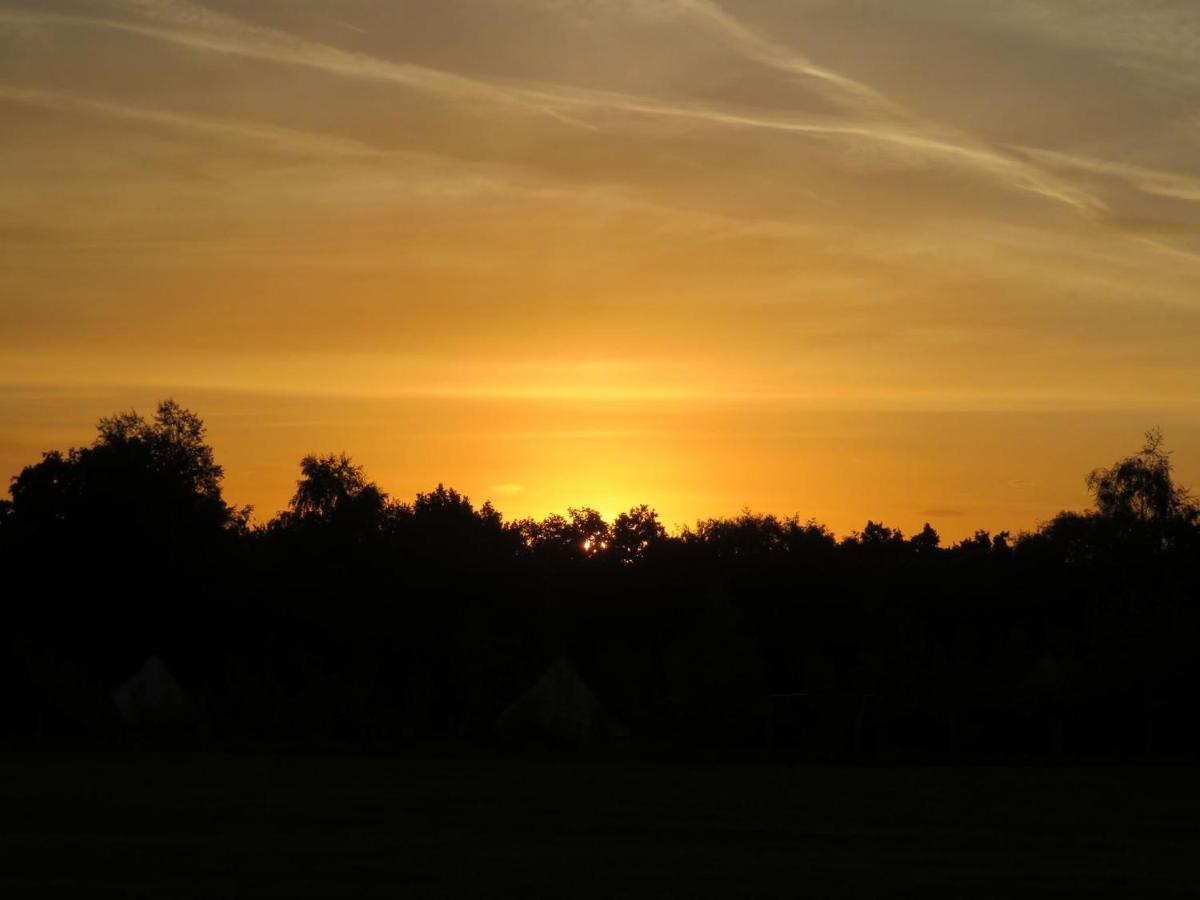 Hopgarden Glamping Luxury Shepherds Huts Wadhurst Eksteriør bilde